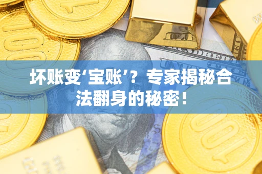 北京坏账变‘宝账’？专家揭秘合法翻身的秘密！