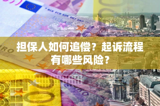 北京担保人如何追偿？起诉流程有哪些风险？