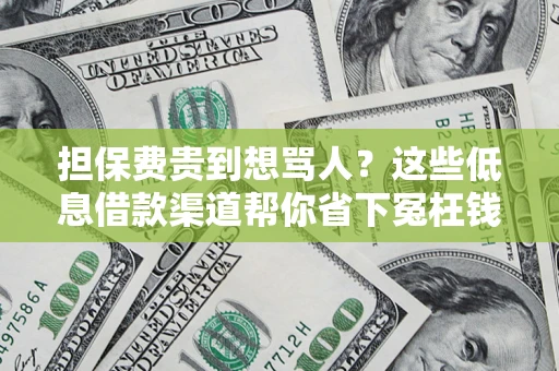 北京担保费贵到想骂人？这些低息借款渠道帮你省下冤枉钱