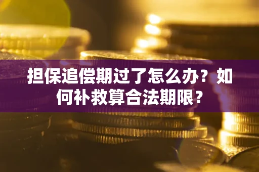 北京担保追偿期过了怎么办？如何补救算合法期限？