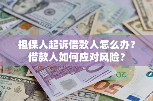 北京担保人起诉借款人怎么办？借款人如何应对风险？